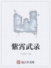 紫霄武录